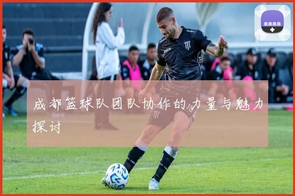 成都篮球队团队协作的力量与魅力探讨