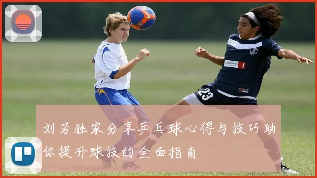 刘芳独家分享乒乓球心得与技巧助你提升球技的全面指南