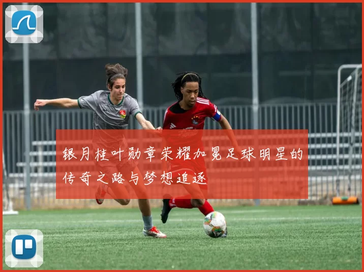 银月桂叶勋章荣耀加冕足球明星的传奇之路与梦想追逐