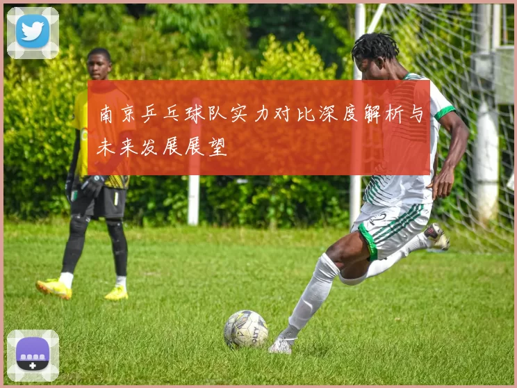 南京乒乓球队实力对比深度解析与未来发展展望