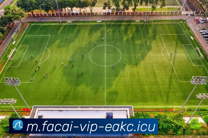 星空体育注册发展历程